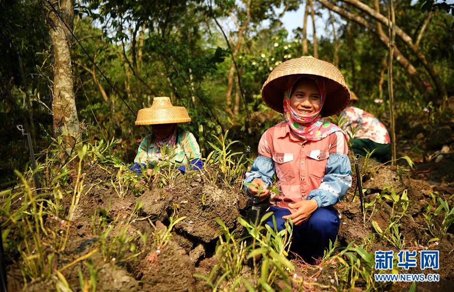 (新媒體專(zhuān)線(xiàn))(6)立足獨(dú)特優(yōu)勢(shì) 勇立改革潮頭——習(xí)近平總書(shū)記在海南考察回訪(fǎng)記