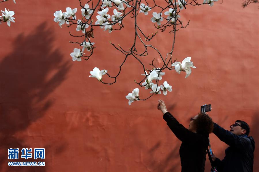（在習(xí)近平新時(shí)代中國特色社會(huì)主義思想指引下&mdash;&mdash;新時(shí)代新氣象新作為&middot;新華全媒頭條&middot;圖文互動(dòng)）（1）最濃是這中國紅&mdash;&mdash;北京市西城區(qū)弘揚(yáng)紅墻意識(shí)深化改革發(fā)展紀(jì)實(shí)