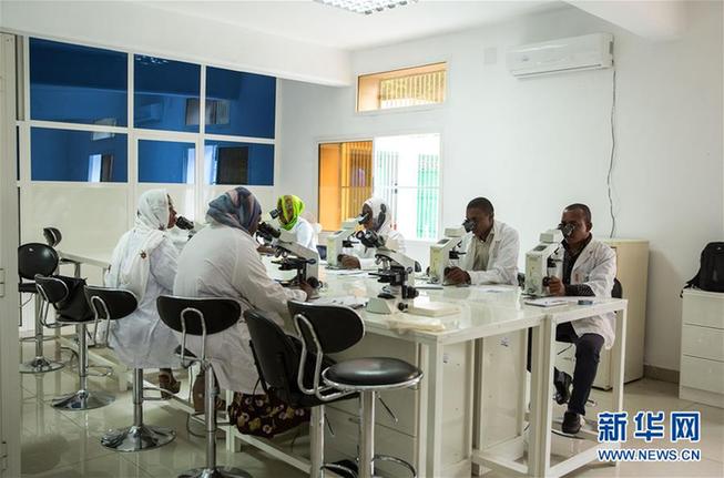 (新華全媒頭條·世界防治瘧疾日·圖文互動)(2)“月亮之國”的驅(qū)魔人——記非洲抗瘧戰(zhàn)場上的廣東團(tuán)隊(duì)