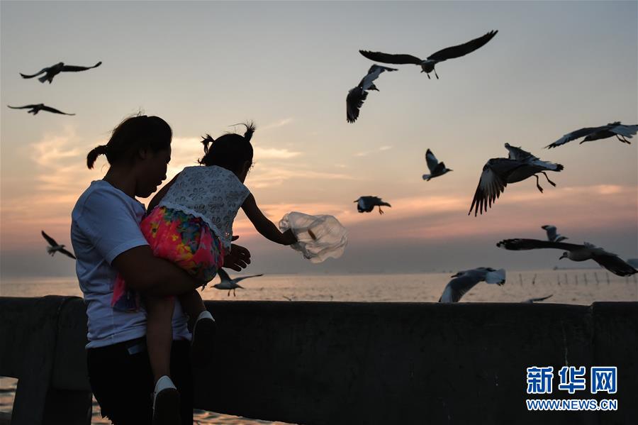 （國(guó)際&middot;編輯連線）（2）母親的懷抱