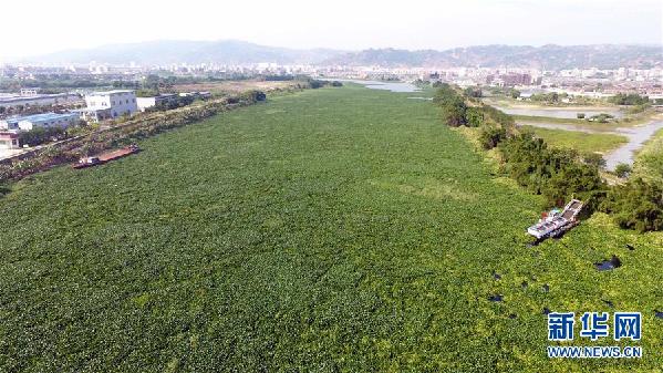 （圖文互動(dòng)）（1）&ldquo;白練&rdquo;變&ldquo;黑龍&rdquo;，江河變&ldquo;草原&rdquo;－－粵東母親河為何污染20多年難治理？