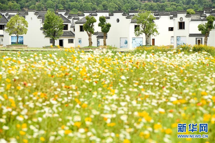 （新華全媒頭條&middot;搶救古民居&middot;圖文互動）（2）當古民居遇上城鎮(zhèn)化，如何留住鄉(xiāng)愁？