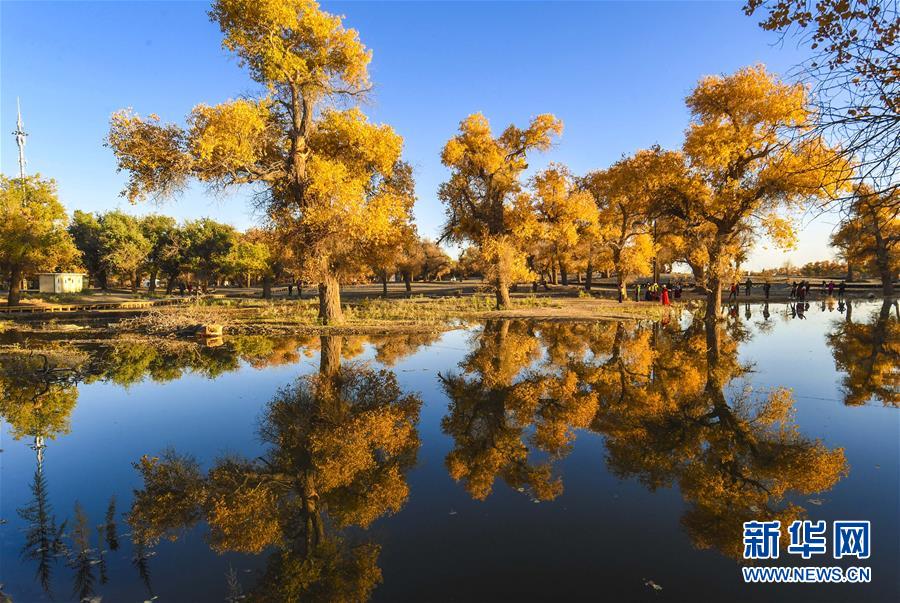 （壯闊東方潮 奮進(jìn)新時(shí)代&mdash;&mdash;慶祝改革開(kāi)放40年）（14）美麗中華大地書(shū)寫綠色傳奇