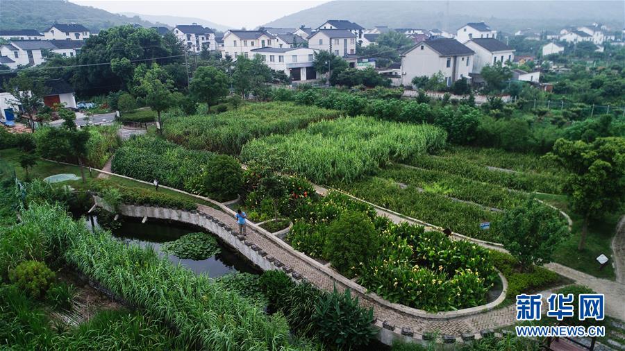 （在習(xí)近平新時代中國特色社會主義思想指引下&mdash;&mdash;新時代新作為新篇章&middot;圖文互動）（1）稀奇！治污濕地成了休閑公園&mdash;&mdash;江蘇蘇州全域推進農(nóng)村生活污水治理