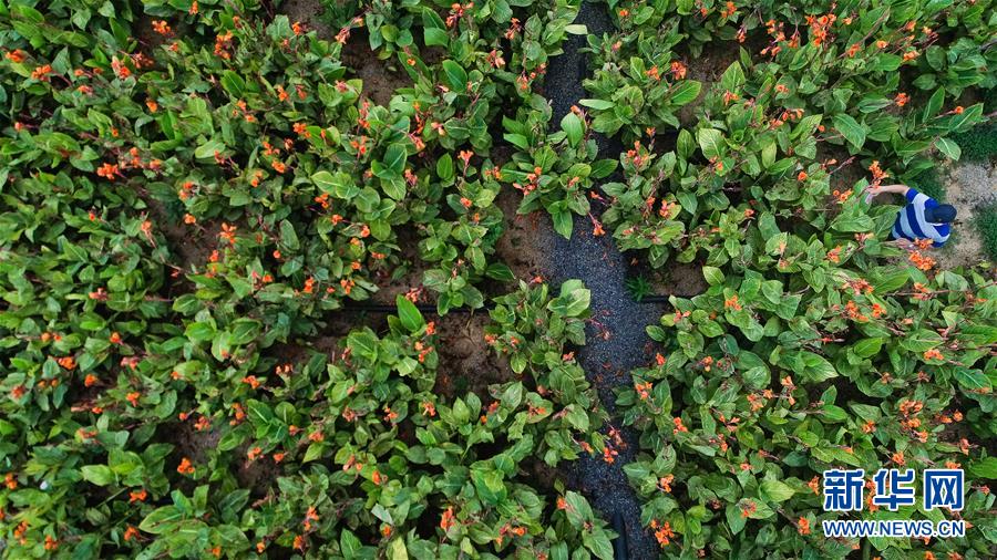 (在習(xí)近平新時(shí)代中國特色社會(huì)主義思想指引下——新時(shí)代新作為新篇章·圖文互動(dòng))(5)稀奇!治污濕地成了休閑公園——江蘇蘇州全域推進(jìn)農(nóng)村生活污水治理