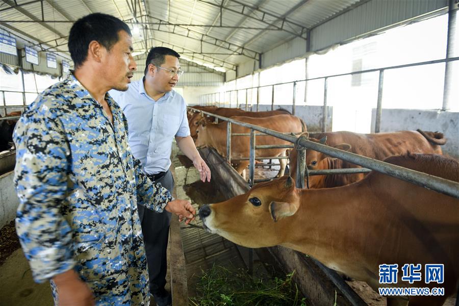 （脫貧攻堅(jiān)&middot;圖文互動(dòng)）（2）&ldquo;不畏難、不畏煩、不畏苦&rdquo;&mdash;&mdash;記&ldquo;80后&rdquo;扶貧干部李朝陽(yáng)