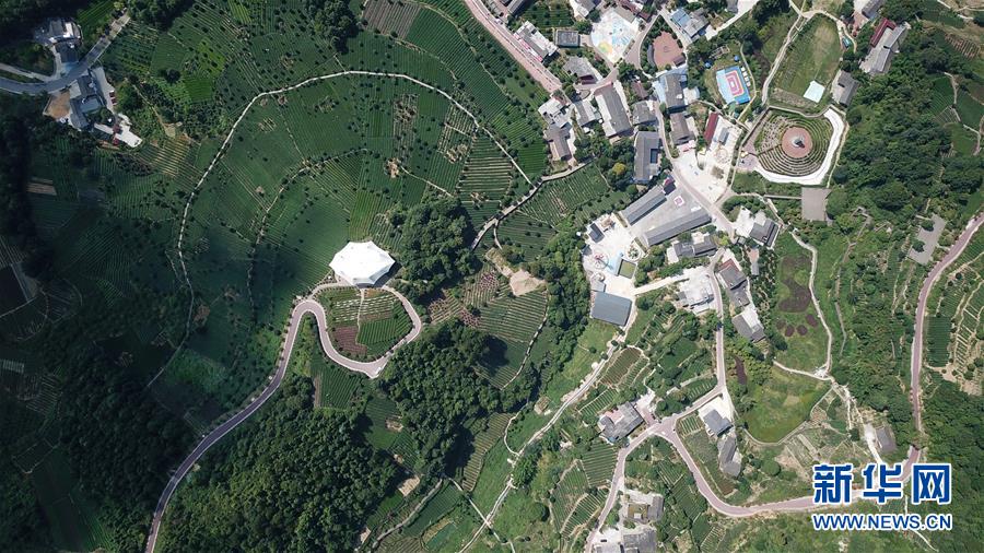 （大江奔流&mdash;&mdash;來自長江經(jīng)濟帶的報道&middot;圖文互動）（1）在這里，做一個幸福的農(nóng)民