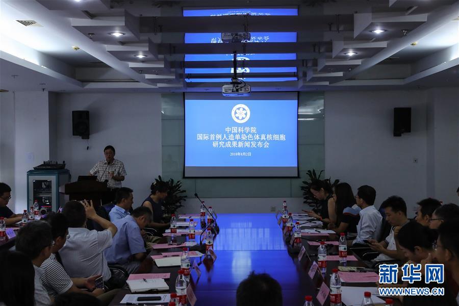 (新華全媒頭條·圖文互動)(6)人造單條染色體真核細胞問世 我國開啟合成生物學(xué)研究新時代