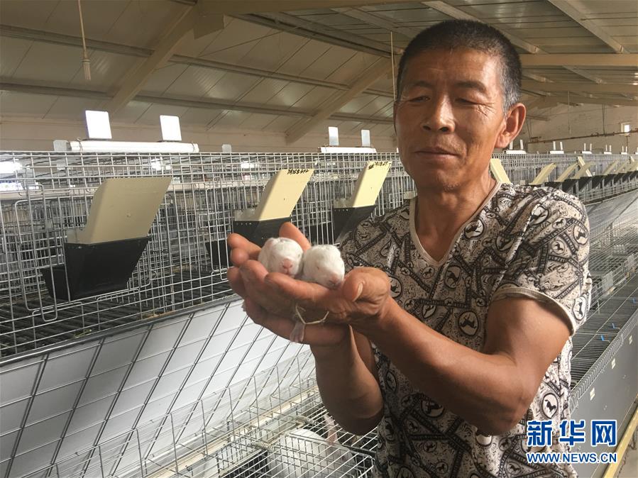 （新華全媒頭條&middot;在習近平新時代中國特色社會主義思想指引下&mdash;&mdash;新時代新作為新篇章&middot;圖文互動）（10）綠富同興畫卷在沙海中鋪展&mdash;&mdash;庫布其沙漠生態(tài)治理紀實