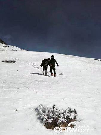 下雪天巡護(hù)也是常有的事。