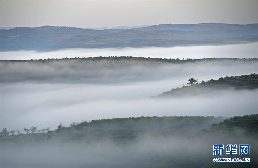 (新華全媒頭條·圖文互動(dòng))(12)中國扶貧的西海固答卷——寧夏奮進(jìn)60年巡禮之脫貧攻堅(jiān)篇