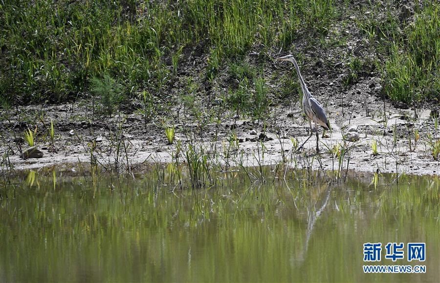 (新華全媒頭條·圖文互動(dòng))(10)中國扶貧的西海固答卷——寧夏奮進(jìn)60年巡禮之脫貧攻堅(jiān)篇