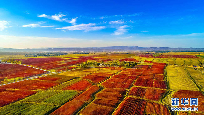秋收的中國，你想象不到的美！但更美的是&hellip;&hellip;