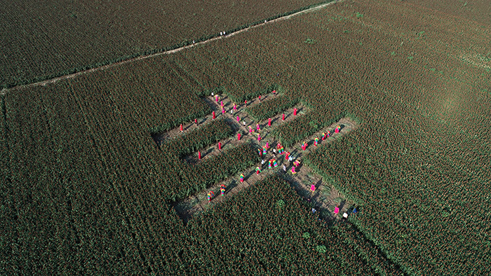 秋收的中國，你想象不到的美！但更美的是&hellip;&hellip;