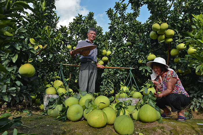 秋收的中國，你想象不到的美！但更美的是&hellip;&hellip;