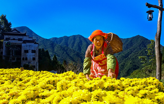 秋收的中國，你想象不到的美！但更美的是&hellip;&hellip;