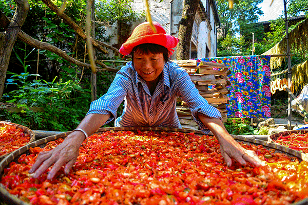 秋收的中國，你想象不到的美！但更美的是&hellip;&hellip;