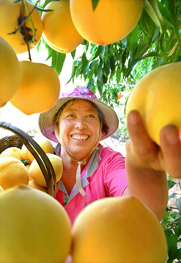 秋收的中國，你想象不到的美！但更美的是&hellip;&hellip;