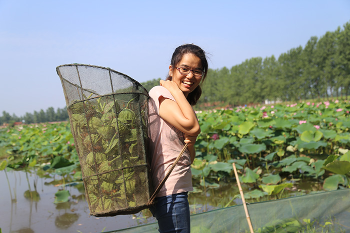 秋收的中國，你想象不到的美！但更美的是&hellip;&hellip;