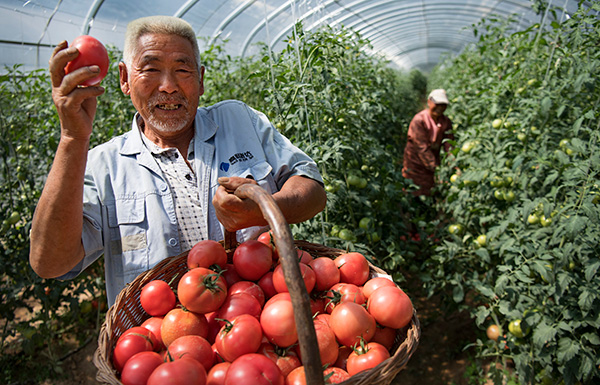 秋收的中國，你想象不到的美！但更美的是&hellip;&hellip;