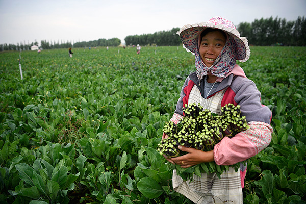 秋收的中國，你想象不到的美！但更美的是&hellip;&hellip;