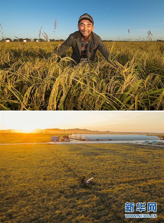 (新華全媒頭條·圖文互動(dòng))(10)最年輕的節(jié)日 最悠久的牽念——寫給首個(gè)中國(guó)農(nóng)民豐收節(jié)