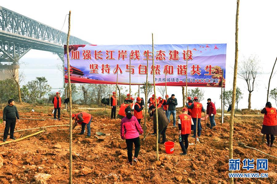 （在習(xí)近平新時(shí)代中國(guó)特色社會(huì)主義思想指引下&mdash;&mdash;新時(shí)代新作為新篇章&middot;圖文互動(dòng)）（2）湖北枝城鎮(zhèn)：片區(qū)黨建助推鄉(xiāng)村全面振興