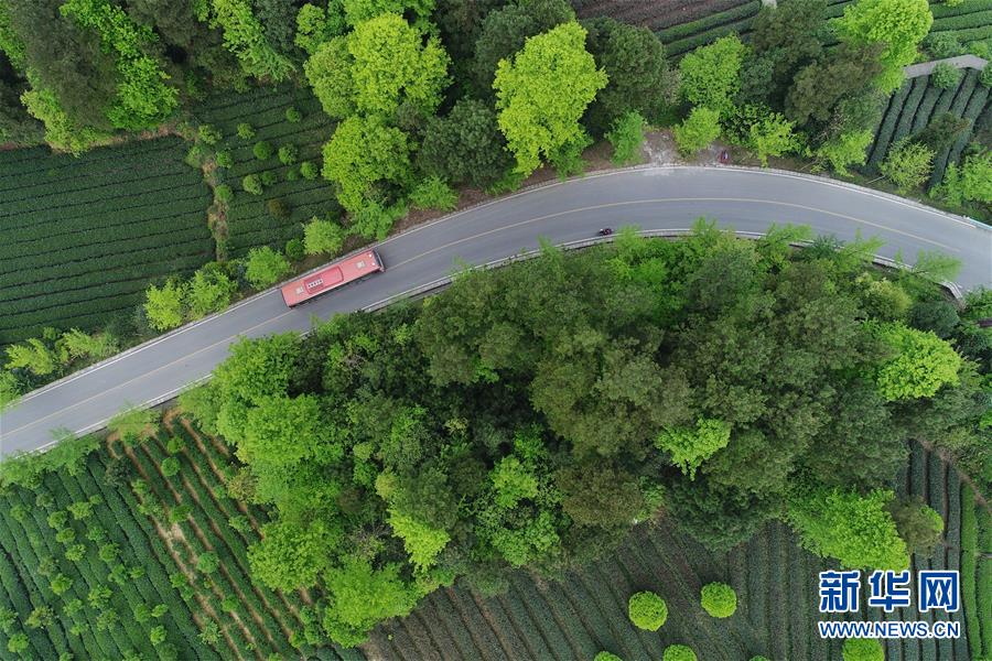 (新華全媒頭條·圖文互動(dòng))(6)希望灑在金色田野——寫(xiě)在鄉(xiāng)村振興戰(zhàn)略實(shí)施一周年之際