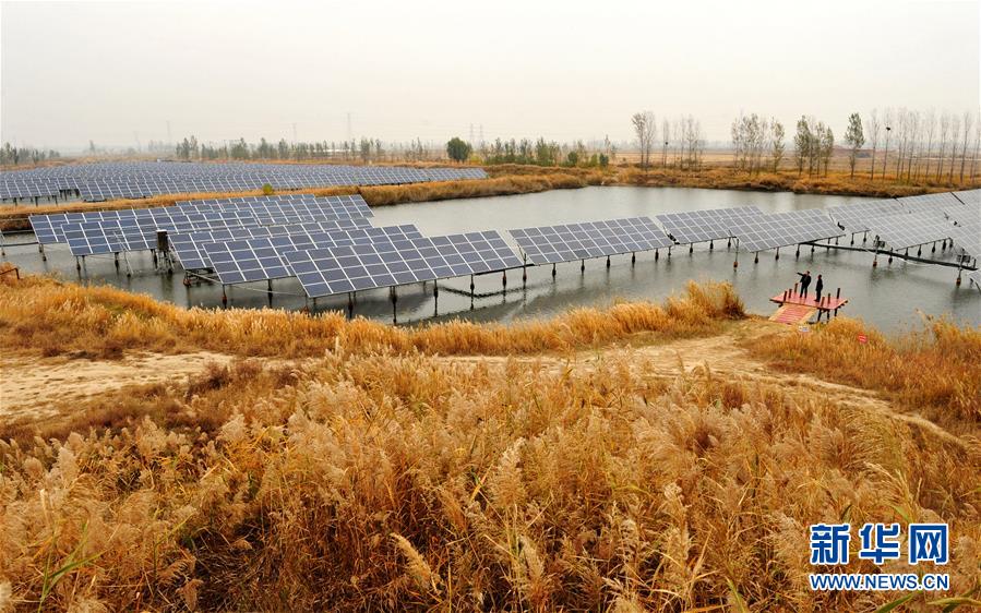 #(社會(huì))河北南皮:“漁光互補(bǔ)”光伏電站鋪就綠色扶貧路