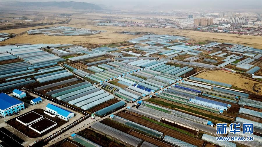 (百城百縣百企調(diào)研行·圖文互動)(1)瞧瞧這些村咋富起來的——黑龍江省牡丹江市發(fā)展特色精品農(nóng)業(yè)促農(nóng)增收