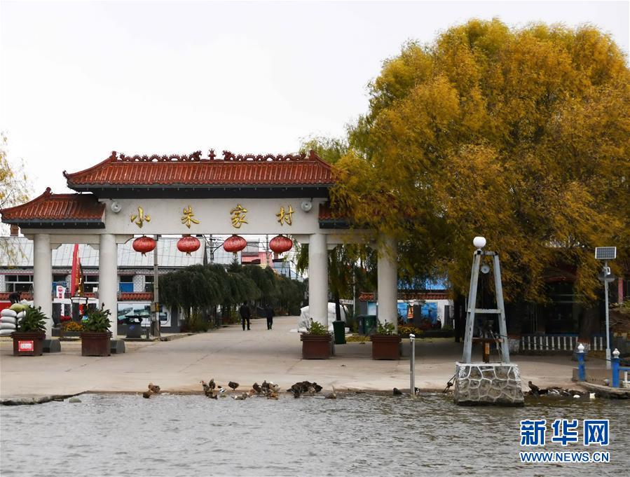 (百城百縣百企調(diào)研行·圖文互動)(4)瞧瞧這些村咋富起來的——黑龍江省牡丹江市發(fā)展特色精品農(nóng)業(yè)促農(nóng)增收