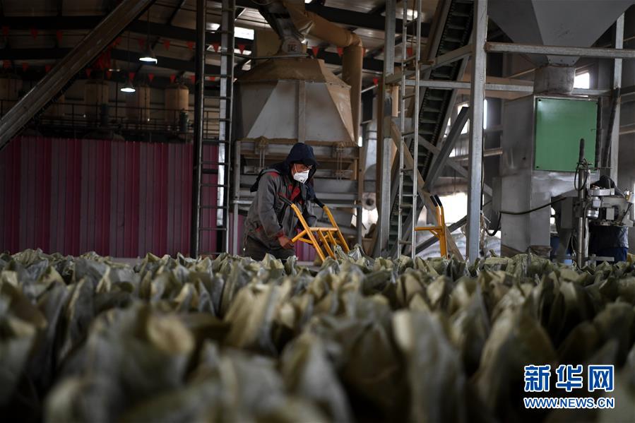 （在習(xí)近平新時(shí)代中國特色社會(huì)主義思想指引下&mdash;&mdash;新時(shí)代新氣象新作為&middot;鄉(xiāng)村振興戰(zhàn)略&middot;圖文互動(dòng)）（1）&ldquo;與其放火，不如打包&rdquo;&mdash;&mdash;山西渾源秸稈綜合再利用見聞