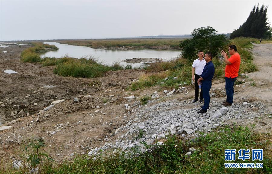 （新華視點(diǎn)&middot;圖文互動(dòng)）（6）福建10名黨員干部被問(wèn)責(zé)的背后：7部門十余次執(zhí)法未能有效制止泉州灣濕地圍墾行為