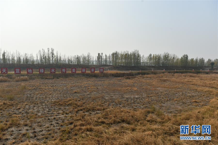 (在習(xí)近平新時(shí)代中國特色社會主義思想指引下·慶祝改革開放40周年·綠色發(fā)展)(新華全媒頭條·圖文互動)(6)綠色發(fā)展:書寫在中國大地上的美麗畫卷