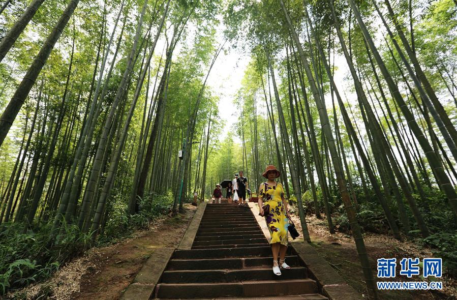 (在習近平新時代中國特色社會主義思想指引下·慶祝改革開放40周年·綠色發(fā)展·圖文互動)(1)向陽花木易為春——綠色發(fā)展之“木”的故事