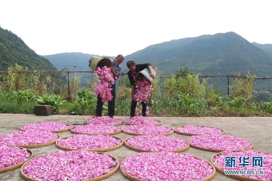 (在習(xí)近平新時(shí)代中國(guó)特色社會(huì)主義思想指引下·慶祝改革開(kāi)放40周年·綠色發(fā)展·圖文互動(dòng))(3)吹盡狂沙始到金——綠色發(fā)展之“金”的故事