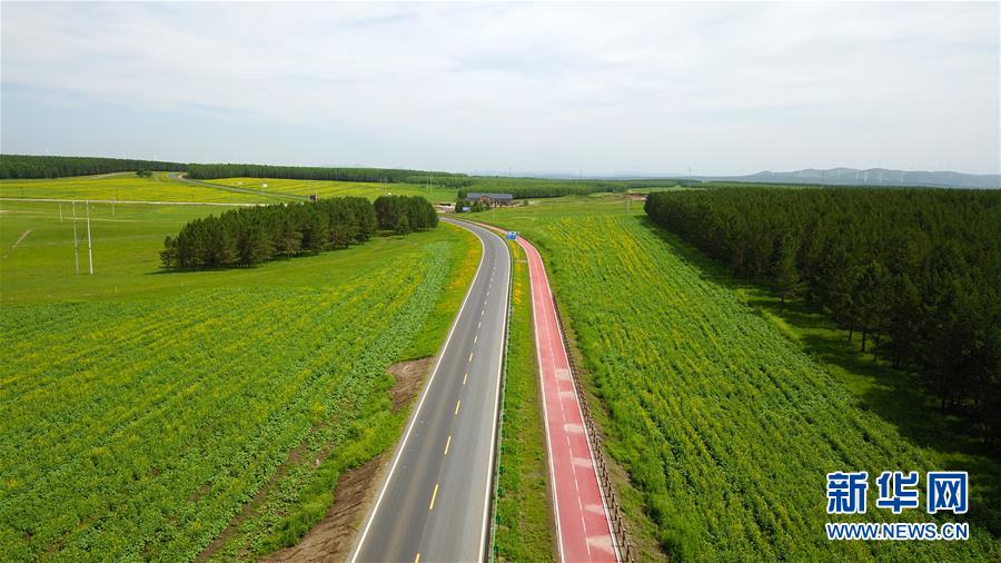 （新華全媒頭條&middot;圖文互動(dòng)）（4）那一抹綠色，走進(jìn)越來(lái)越多人心里&mdash;&mdash;河北塞罕壩續(xù)寫(xiě)新時(shí)代綠色傳奇