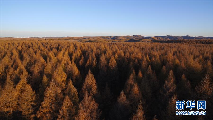 （新華全媒頭條&middot;圖文互動(dòng)）（6）那一抹綠色，走進(jìn)越來(lái)越多人心里&mdash;&mdash;河北塞罕壩續(xù)寫(xiě)新時(shí)代綠色傳奇
