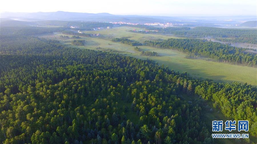 （新華全媒頭條&middot;圖文互動(dòng)）（5）那一抹綠色，走進(jìn)越來(lái)越多人心里&mdash;&mdash;河北塞罕壩續(xù)寫(xiě)新時(shí)代綠色傳奇