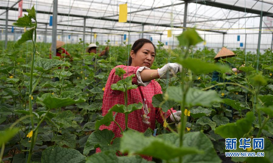 （新華全媒頭條&middot;圖文互動(dòng)）（11）心中有夢想，腳下就有力量&mdash;&mdash;寫在&ldquo;中國夢&rdquo;提出六周年之際