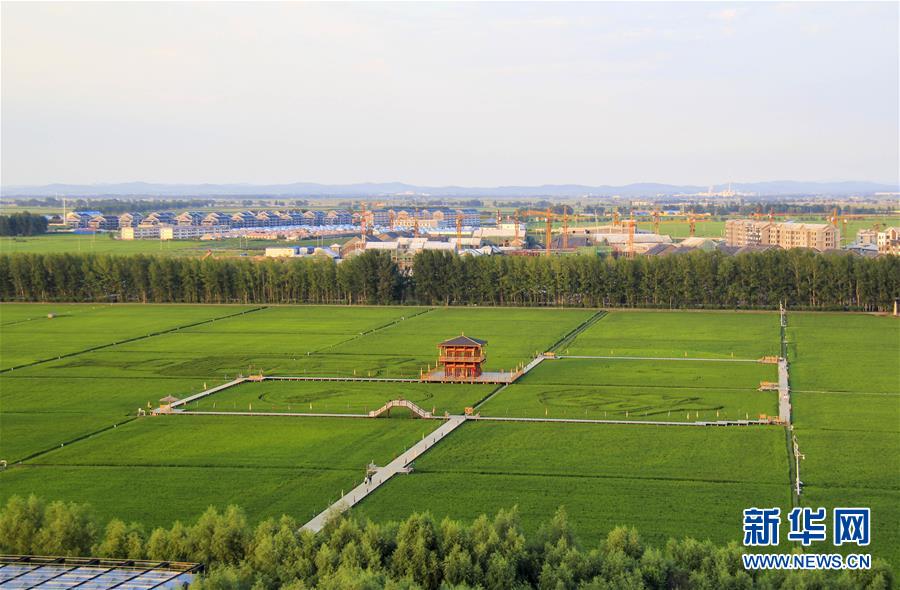 (慶祝改革開放40周年基層行·鄉(xiāng)鎮(zhèn)篇·圖文互動(dòng))(3)三產(chǎn)融合培育鄉(xiāng)村振興熱土——吉林孤店子鎮(zhèn)“村變城”背后的故事