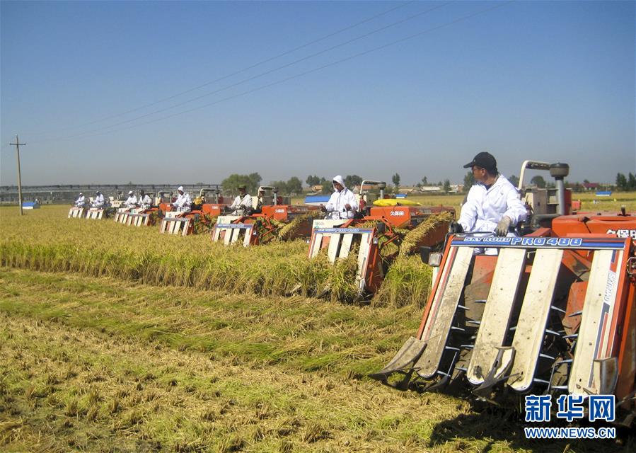 (慶祝改革開放40周年基層行·鄉(xiāng)鎮(zhèn)篇·圖文互動(dòng))(6)三產(chǎn)融合培育鄉(xiāng)村振興熱土——吉林孤店子鎮(zhèn)“村變城”背后的故事