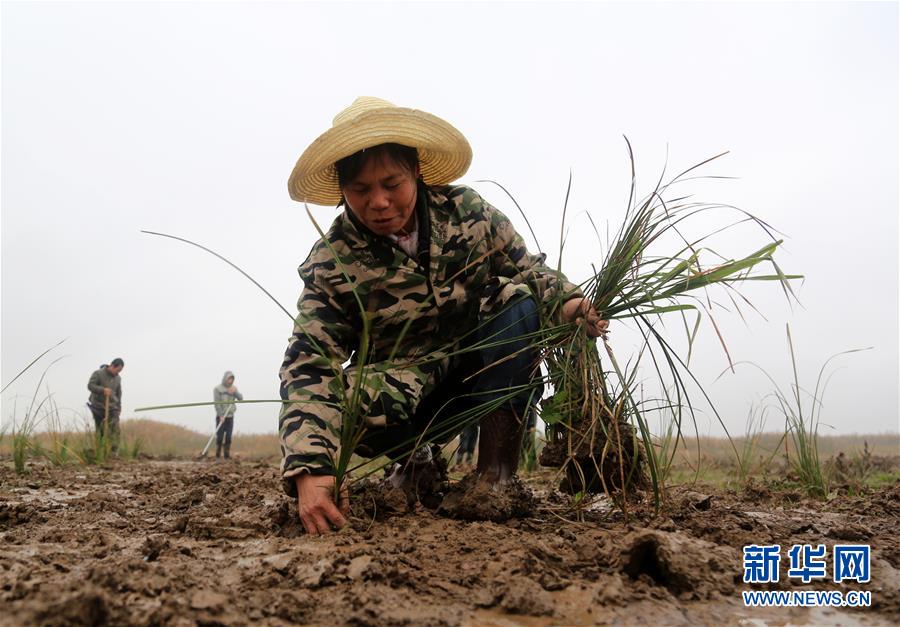 （新華視點&middot;回望2018&middot;圖文互動）（3）2018年新華社曝光多起破壞生態(tài)事件，記者年底追訪發(fā)現(xiàn)&hellip;&hellip;