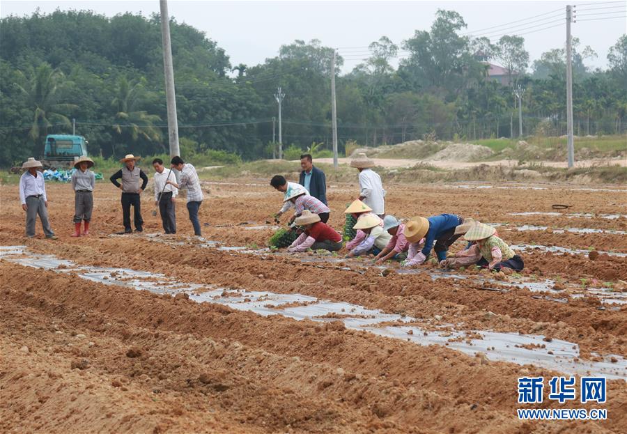 （新華視點&middot;回望2018&middot;圖文互動）（7）2018年新華社曝光多起破壞生態(tài)事件，記者年底追訪發(fā)現(xiàn)&hellip;&hellip;