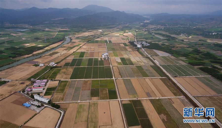 （百城百縣百企調(diào)研行&middot;圖文互動）（1）海南農(nóng)墾：農(nóng)業(yè)&ldquo;國家隊(duì)&rdquo;打贏改革&ldquo;翻身仗&rdquo;