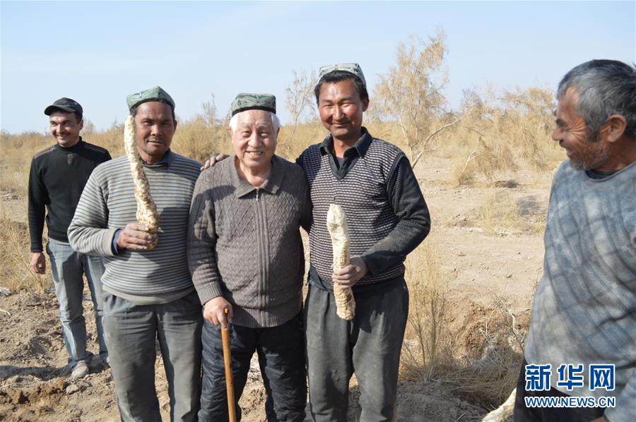 （圖文互動(dòng)）（3）&ldquo;劉紅柳&rdquo;，一輩子大漠扎根種樹