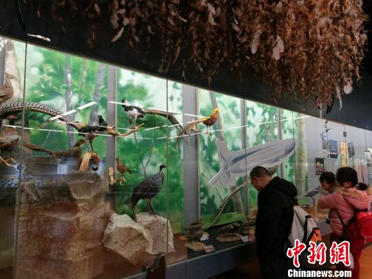 圖為展覽現(xiàn)場(chǎng)?！『h(yuǎn)航 攝