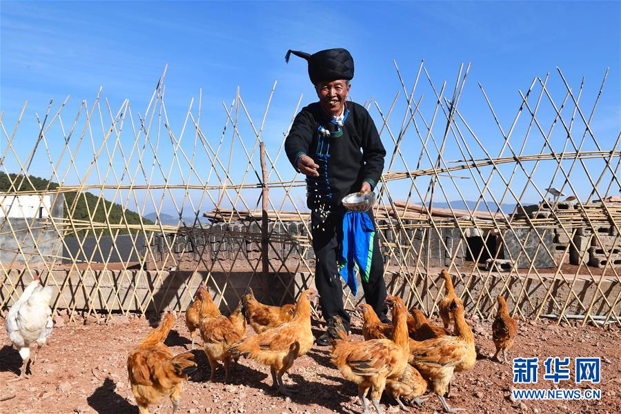 （新華全媒頭條&middot;奮進(jìn)新時代&middot;迎接兩會特別報道&middot;圖文互動）（5）新征程，向著偉大夢想前進(jìn)&mdash;&mdash;從黨的十九大到2018年全國兩會