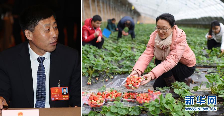 (兩會·影像鏈接)全國人大代表唐廷波:加強落實強農(nóng)惠農(nóng)政策 增加農(nóng)民收入