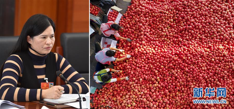 (兩會(huì)·影像鏈接)全國(guó)人大代表曾云英:新型農(nóng)業(yè)將迎來高質(zhì)量發(fā)展的機(jī)遇